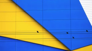 Salon.Photo Bronze Medal