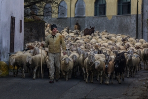 Salon.Photo Silver Medal