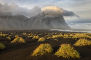 Salon.Photo Bronze Medal