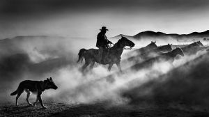 Salon.Photo Gold Medal