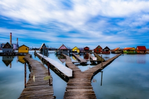 Salon.Photo Bronze Medal